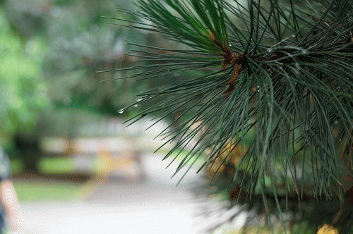 Фото из архива БВ. Фото из архива БВ.