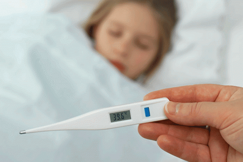 Фото rostov.press