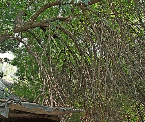 Фото автора Фото автора