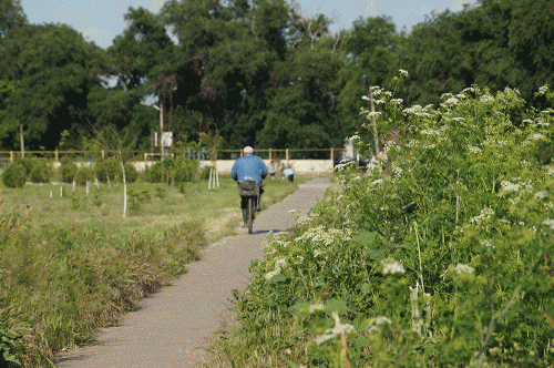 Фото из архива БВ.