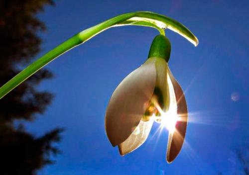 Фото TUT.by Фото TUT.by