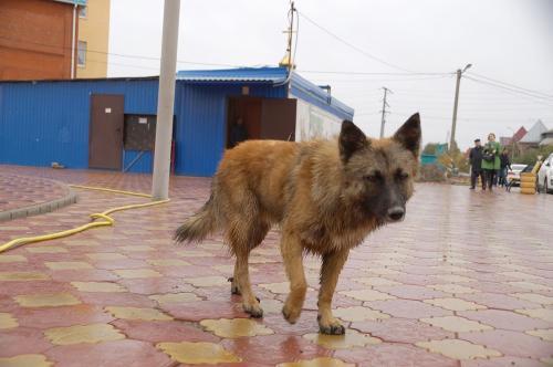 Фото из архива БВ.