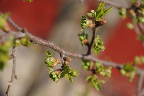 Фото из архива БВ.