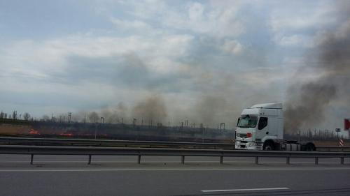 Фото Е. Андренко.