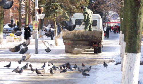 Фото и видео этого человека-героя, посыпавшего Батайск, облетело все соцсети Фото и видео этого человека-героя, посыпавшего Батайск, облетело все соцсети