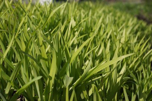 Фото из архива БВ.