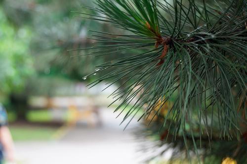 Фото из архива БВ.