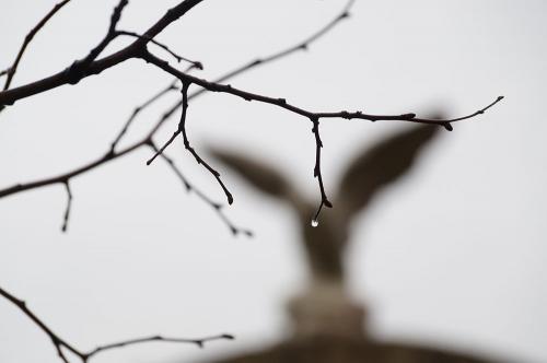 Фото А. Рашевского из архива БВ