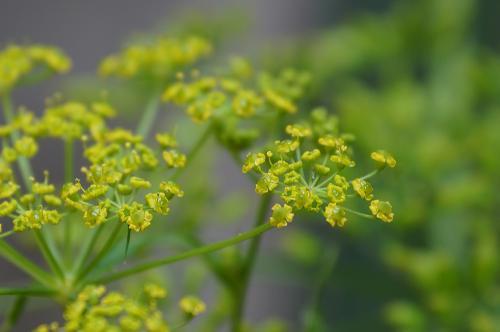 Фото из архива БВ. Фото из архива БВ.