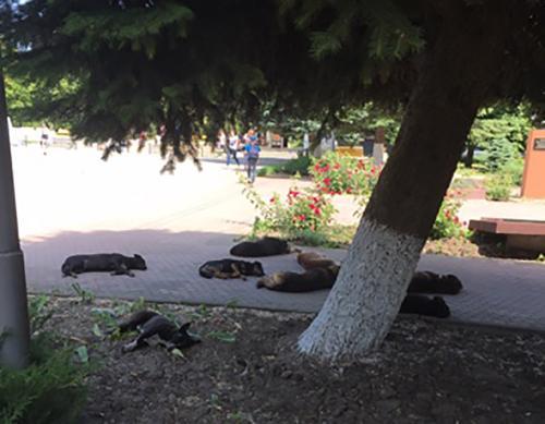 Фото читателей БВ.