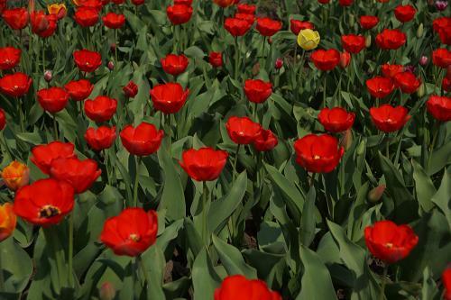 Фото из архива БВ.