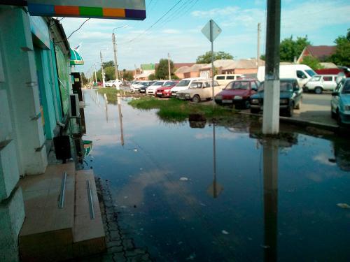 Фото автора.