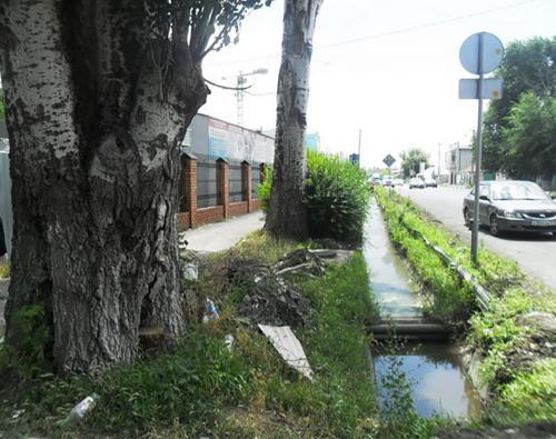 Фото батайск-официальный.рф Фото батайск-официальный.рф