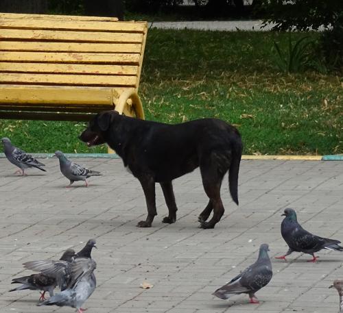 Фото А. Алексеева.
