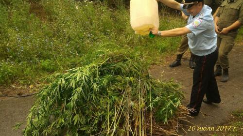 Фото М. Гранкина