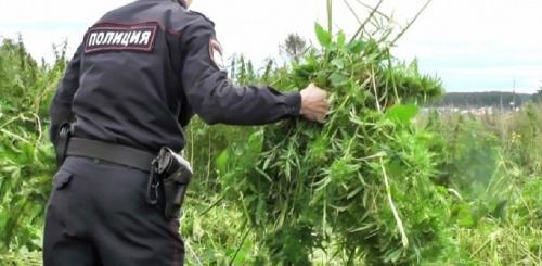 Фото s.66.ru Фото s.66.ru