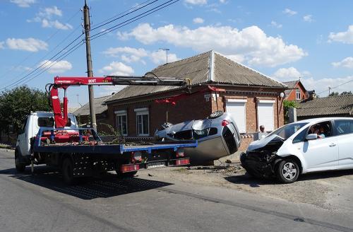 Фото А. Алексеева. Фото А. Алексеева.