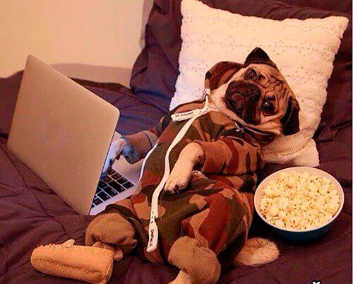 Картинка ВКонтакте/Необычный гороскоп.