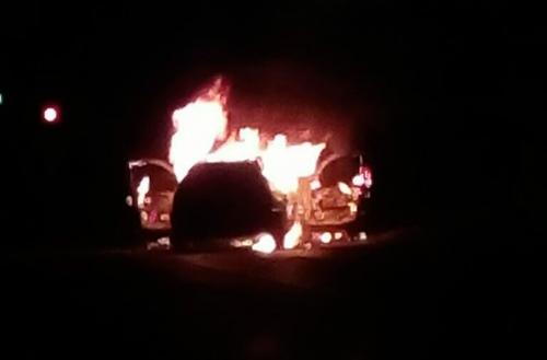 Фото читателей БВ.