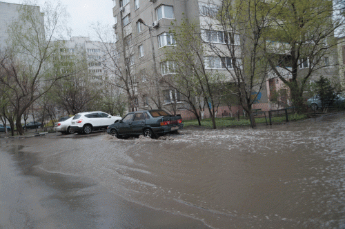 Фото А. Рашевского Фото А. Рашевского