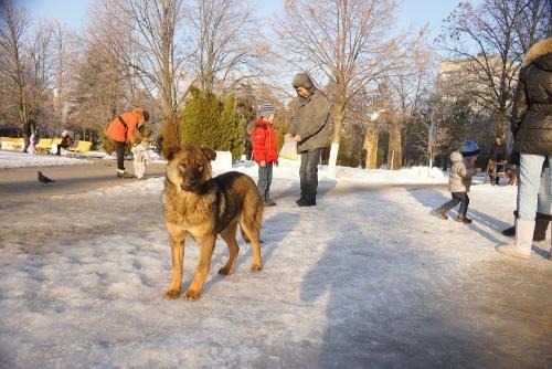 Фото архив БВ