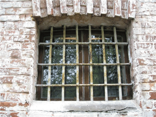 Двор для прогулок остается пока 