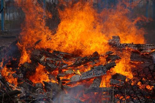 Фото БВ Фото БВ