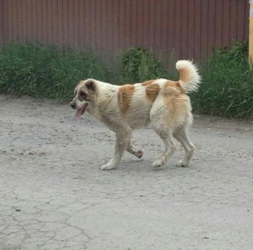 Фото БВ Фото БВ