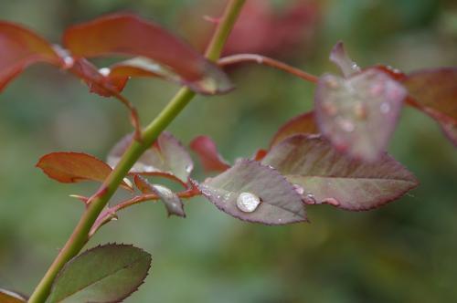 Фото БВ Фото БВ