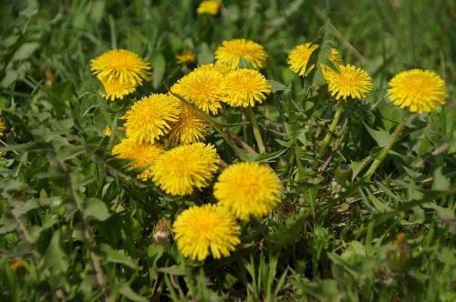 Фото БВ Фото БВ