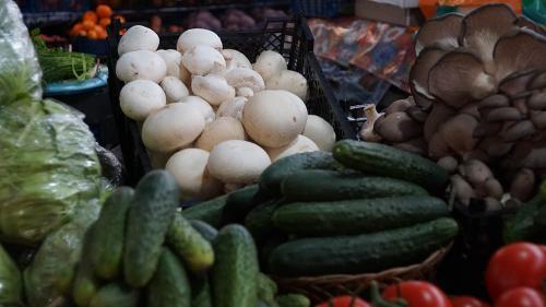 Фото Рашевский А.