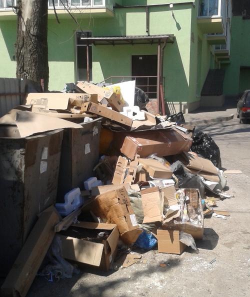 Фото Н. Беленкова Фото Н. Беленкова