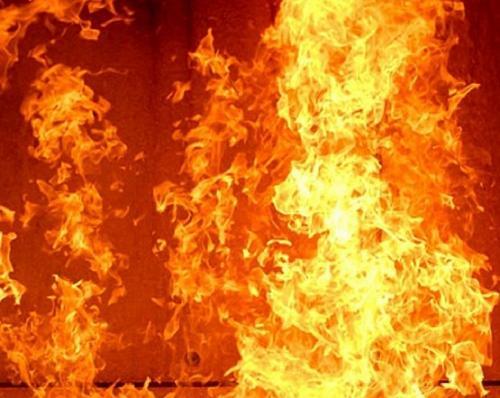 Фото livekuban.ru Фото livekuban.ru