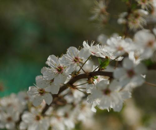 Фото БВ Фото БВ