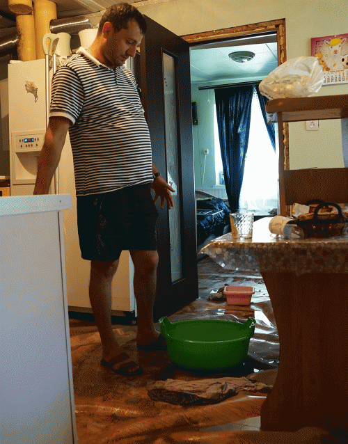 Фото А. Рашевского.