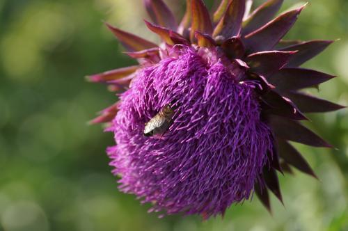 Фото БВ Фото БВ