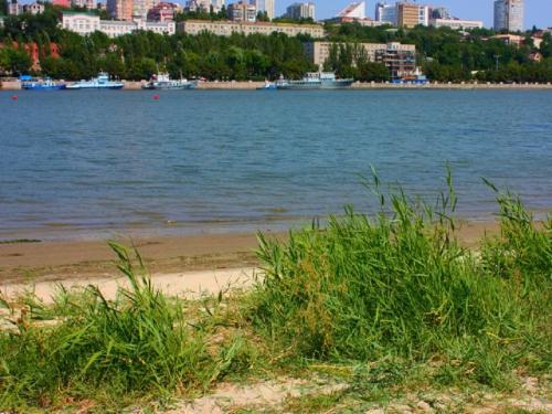 Фото https://161.ru Фото https://161.ru