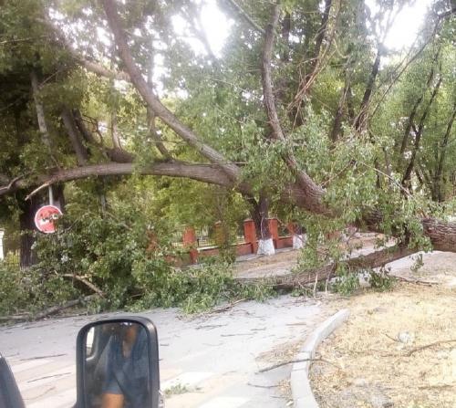 Фото ВК/Мой Батайск