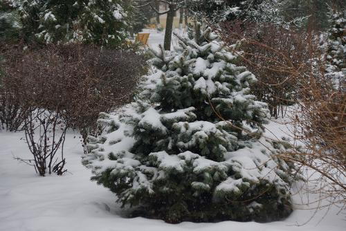 Фото Рашевский А.