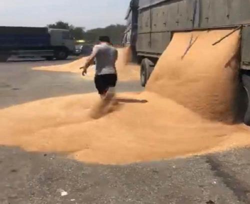 Скриншот видео - соцсети. Скриншот видео - соцсети.