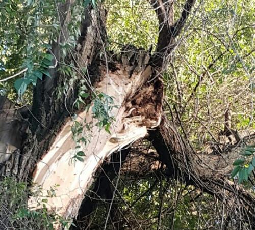 Фото читателей БВ