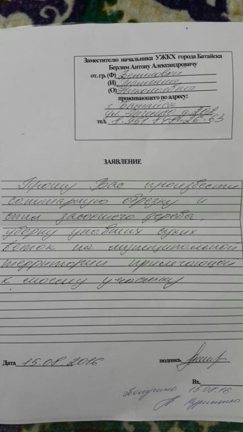 Фото читателей БВ