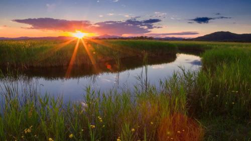 Фото om1.ru Фото om1.ru