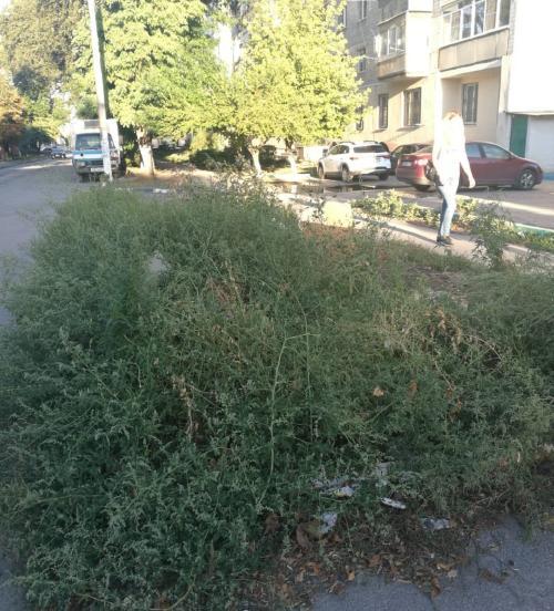 Фото читателей БВ Фото читателей БВ