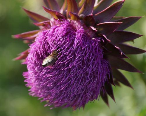 Фото БВ Фото БВ