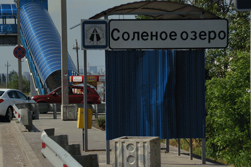 Фото А. Рашевского.