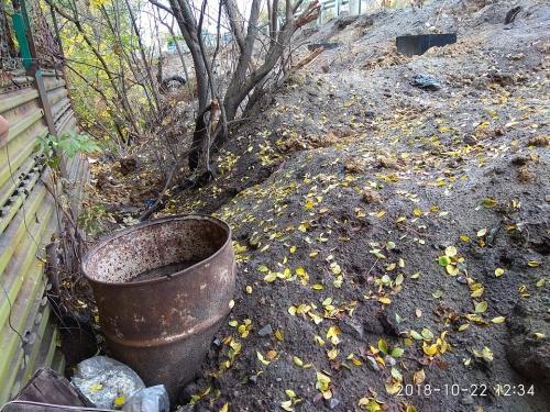 Фото читателей БВ