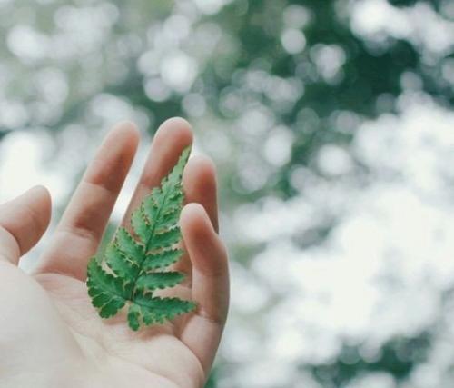 Фото ВК/Необычный гороскоп