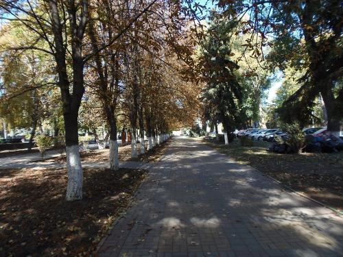 Фото БВ Фото БВ