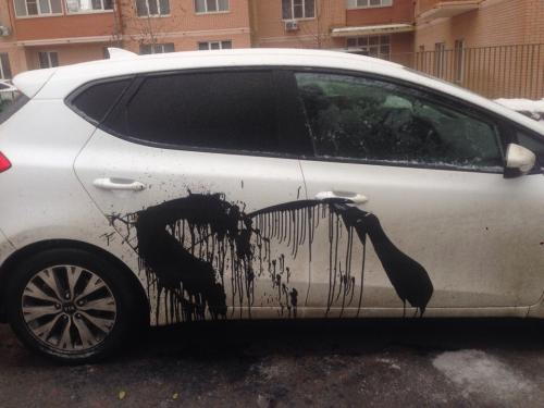 Фото vk.com/sever_zvezda